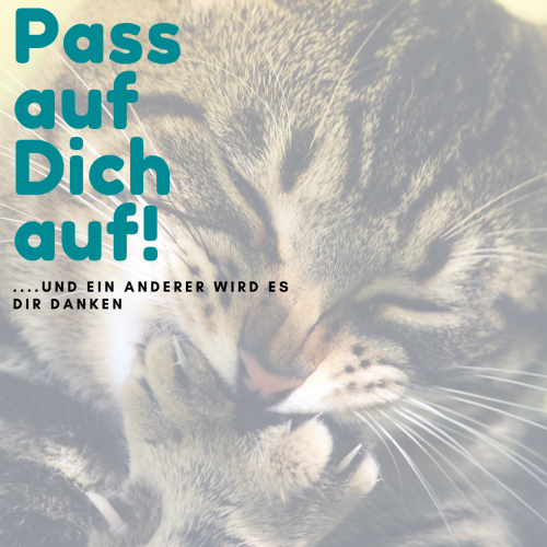 Download Bleib wie du bist sprueche englisch For Android Free