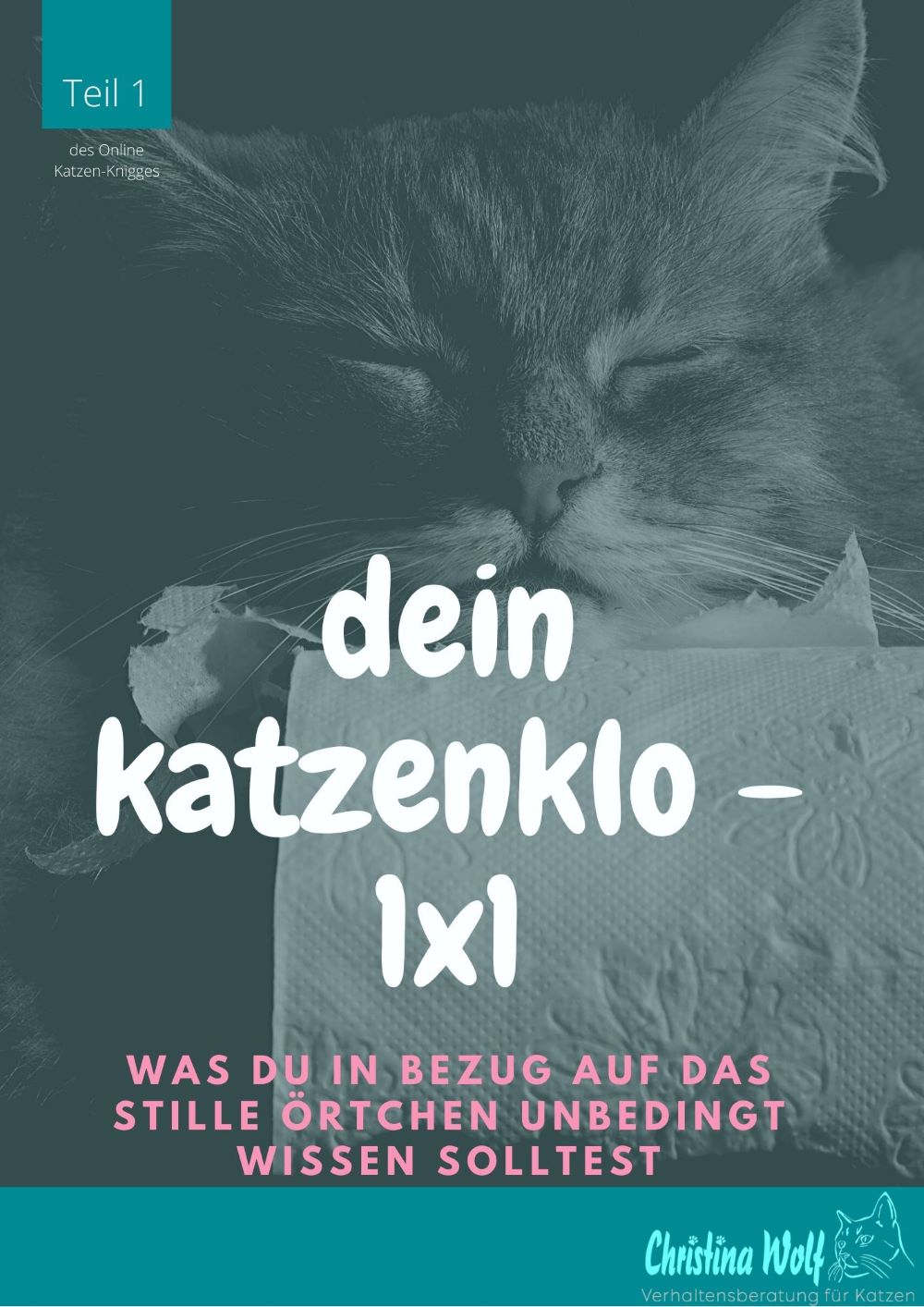Katzenklo -1x1